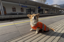 ÖBB-Schnupperant „Yoda“ genießt seine Rolle in vollen Zügen