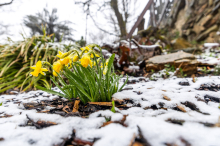 Schnee: Winter klopft in Kärnten und Osttirol noch einmal an     