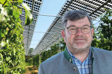 Steiermark holt mit Photovoltaik, die das Obst schützt, Staatspreis