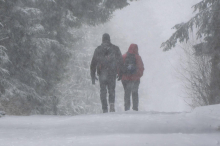 Wetterdienst warnt: Schwere Schneestürme für Teile Kärntens erwartet