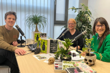 delikt-Podcast: Tödliche Botanik: Gartenpflanzen als Tatwaffe 
