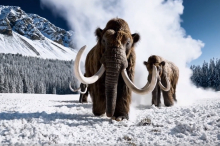 ChatGPT-Hersteller OpenAI dreht völlig überraschend Video-KI Sora ab