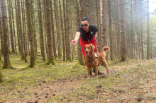 Suche beendet: Abgängiger Mann in Kärnten aufgefunden