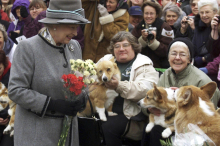 Sie brauchte Geld : Fergies bizarrer Plan: Corgis der Queen klonen und für Reality-TV nutzen