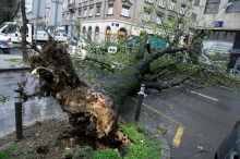 Zaradi močnega vetra rdeče opozorilo za Zagreb, Reko, Gospić. V Zagrebu odpovedali pouk.