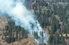 Großeinsatz der Feuerwehren bei Waldbrand im Mölltal 