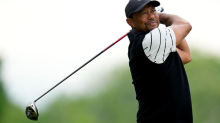 Unfälle: Medien: US-Golfstar Tiger Woods in Autounfall verwickelt