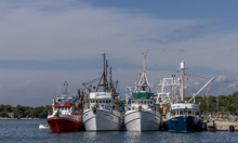 Riba će poskupjeti, a možda je neće biti: 'Račun za gorivo sada je jednak prihodu'