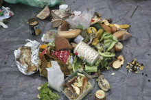 Leta 2022 po svetu v smeteh končala ena milijarda ton hrane