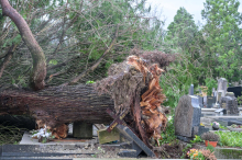 Kroatien: Wetterdienst gibt höchste Warnstufe aus und rät von Reisen ab