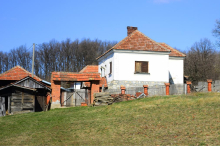 Radojka prodaje kuću sa okućnicom za 10.000€: Imanje ima i pomoćni objekat, njivu, ali i jednu manu FOTO