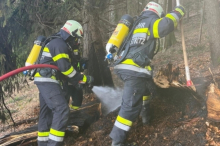 Trennstein: 26 Feuerwehrleute rückten zu Waldbrand aus