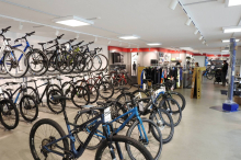 Vor allem E-Bikes gefragt: 1,1 Milliarden Euro umgesetzt: Österreichs Fahrradmarkt stabilisiert sich 