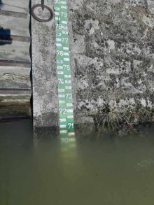 RASTE VODOSTAJ SAVE KOD ŠAPCA: Od četvrtka novi talas padavina širom Srbije, u Beogradu nema opasnosti od poplava