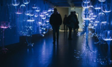 Više od 20 000 posjetitelja pogledalo izložbu Učiniti nevidljivo vidljivim