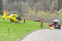 Leutschach an der Weinstraße: Bei Waldarbeiten verletzt: Forstarbeiter ins UKH Graz geflogen