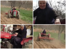 Baka Pavlika u devetoj deceniji vozi traktor: Sama obrađuje 4 hektara zemlje 