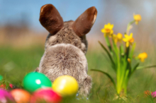 Wetter im Bezirk Leoben: Der Osterhase bringt frühlingshafte Temperaturen und Sonnenschein 