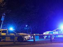 Young girl and man are killed and woman is fighting for her life after tipper truck ploughs into pony and trap in Kent