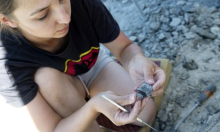 Kakvo otkriće: Složeni organizmi stariji su nego što se mislilo?