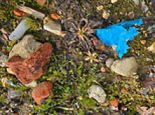 Prince Harry's former polo club in pollution row after it bought contaminated soil full of plastic and bricks