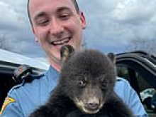 Adorably cute bear cub is rescued by New Jersey State Troopers after its mother abandoned it by side of road