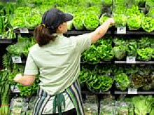 Supermarket boss issues a grim warning about fresh produce: 'Worse than anything since the 1970s'