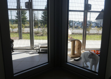 Ljudje še vedno prevečkrat gledajo na živali kot na nadomestek