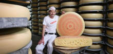 Schweizer Käse: Milch zu sauber – Heublumenpulver soll Löcher im Emmentaler retten