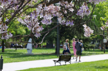 Toplo i prijatno vreme do utorka, a od srede opet promena: RHMZ izdao najavu, evo šta nas sve čeka u narednim danima
