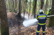 Mehr als 80 Feuerwehrkräfte kämpften im Wald gegen Flammen