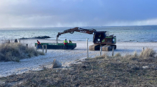 Ostsee: Bilder einer (leider) gescheiterten Walrettung
