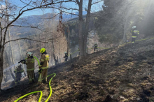 Waldbrand in Predlitz: Feuerwehren waren stundenlang im Einsatz