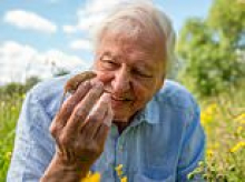 BBC viewers rave over 'spellbinding' new David Attenborough documentary hailed as 'perfect Easter viewing' and 'food for the soul'