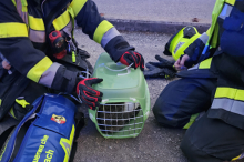 30 Helfer im Einsatz: Katze aus verrauchter Wohnung gerettet