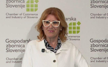 GZS: Ključno je, da probleme začnemo reševati dovolj zgodaj, da ne bo treba zapirati delovnih mest