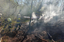 In Mortantsch bei Weiz: 300 m² Waldboden brannten: Feuerwehr rückte mit fünf Fahrzeugen aus