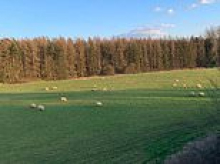 Housing development that was rejected three times by a council and thrown out by the High Court gets the green light after being pushed over the line by the Government