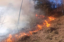 Kein Regen: Waldbrandgefahr in Kärnten und Osttirol spitzt sich zu
