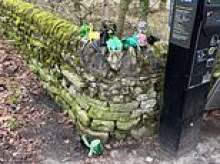 Outrage at lazy dog walkers who are threatening Hadrian's Wall as they shove bags of waste between stones