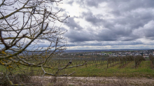 Aussichten: Wolken und etwas Regen in Hessen