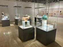 Zakladi, ki so jih skrivali grobovi dolenjske elite v starejši železni dobi