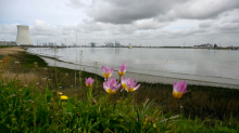 Ausfließendes Öl legt Schiffsverkehr in Hafen von Antwerpen größtenteils lahm