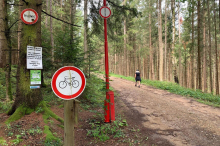 Umdenken bei Waldbesitzer: Überraschende Wende um den „verbotenen Berg“ für Mountainbiker