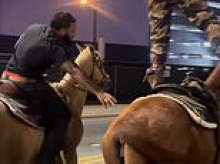 Frightened horse struck by car after vile twin brothers rode animals downtown and performed cruel 'tricks' atop them