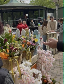 653.300 dinara za samo jedan dan! Mitrovica pokazala veliko srce – građani se ujedinili za šestoro sugrađana