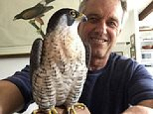 He lost everything when the 1980 Olympics were boycotted...now his six-figure bird carvings are owned by Robert F. Kennedy Jr. and Hollywood stars