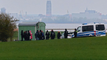 Gestrandeter Wal: Demonstration für Walrettung - Polizei schreitet ein