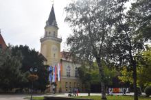 OVAJ SRPSKI GRAD KRIJE JEDNU OD NAJLEPŠIH ULICA NA SVETU: Zauzela čak 22. mesto, a mnogi je zovu ZELENI TUNEL! Pogledajte prizor kao iz bajke (FOTO)