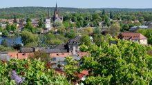 Baumblütenfest: Blütenfest steht bevor: mehr Tradition als Trinkgelage